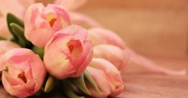 Mothers day Gifts on an Budget