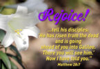 Rejoice! ...tell his disciples: ‘He has risen from the dead and is going ahead of you into Galilee. There you will see him.’ Now I have told you.” Matthew 28:7